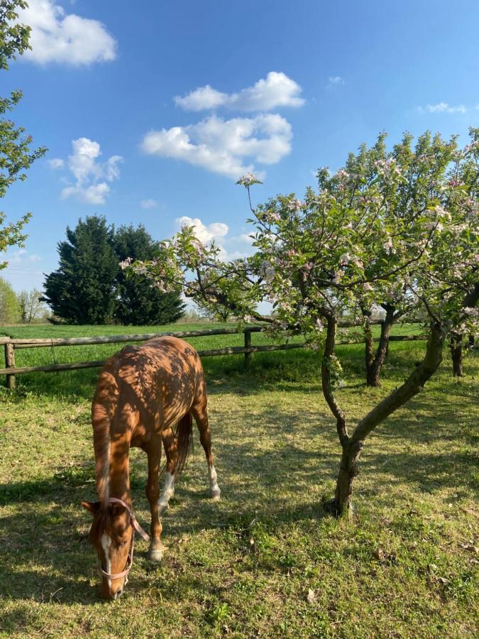 Agriturismo Loghino Caselle Affittacamere 3*