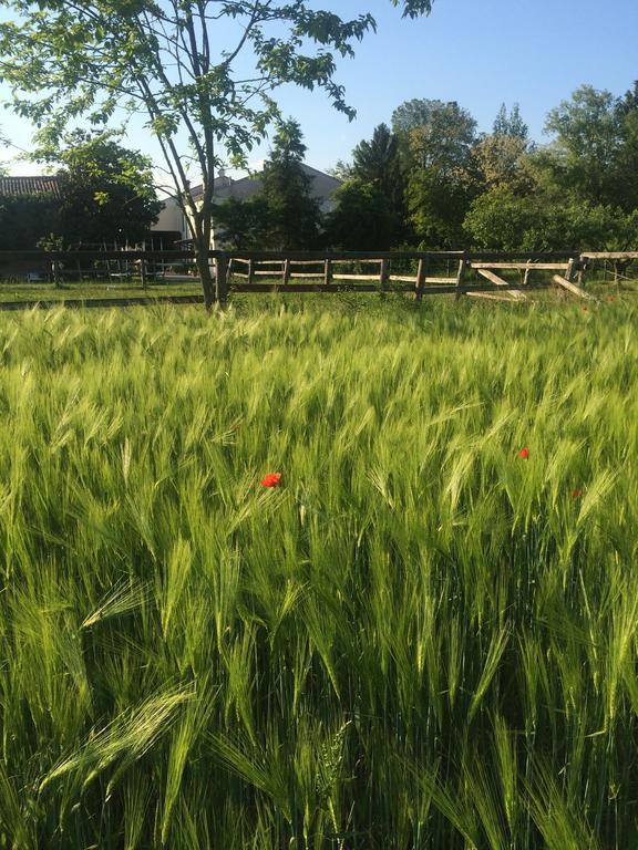 Agriturismo Loghino Caselle 3*