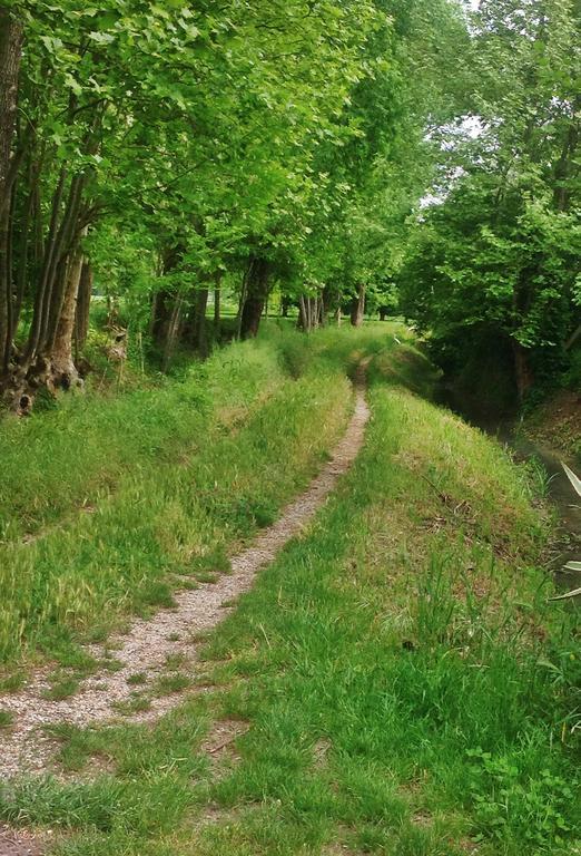 Affittacamere Agriturismo Loghino Caselle